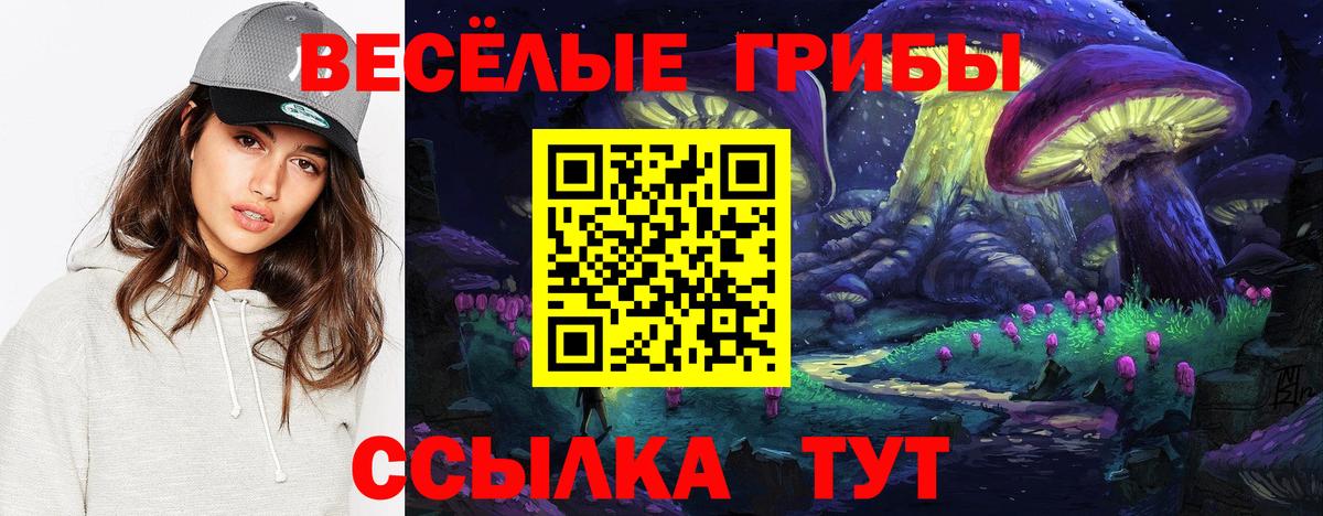 Псилоцибиновые грибы прущие грибы  Вход с VPN  Сарапул  Галлюциногенные грибы мицелий 