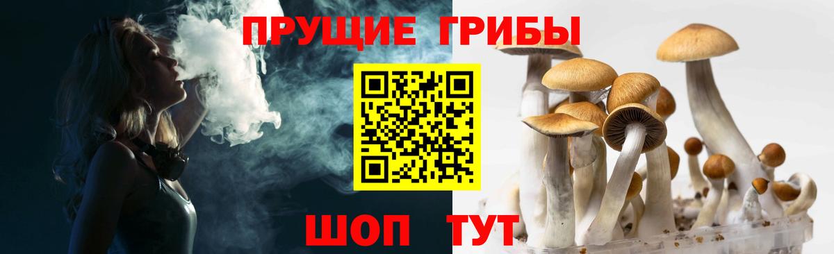 Псилоцибиновые грибы мухоморы Сарапул
